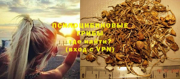 шишки Алексин