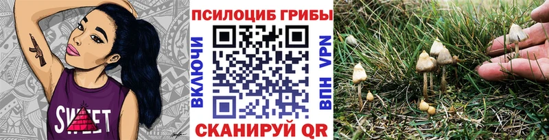 Галлюциногенные грибы Magic Shrooms  Заволжск 